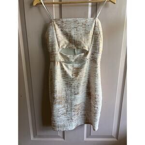 Annice Strapless Fitted Mini Dress with Cutouts Size L